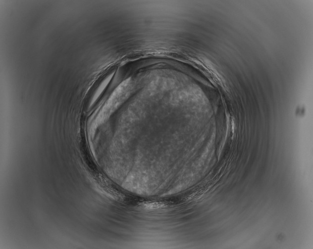 X0000097750500200803281613