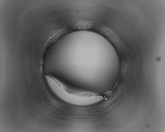 X0000097750501200803281613