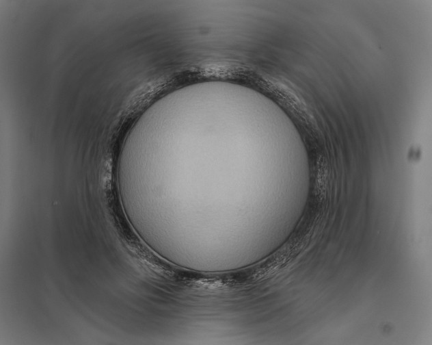 X0000097750502200803281613