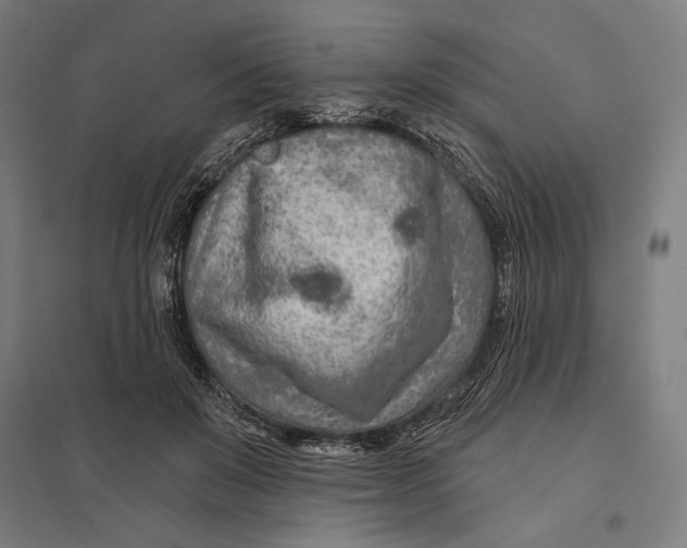 X0000097750503200803281613