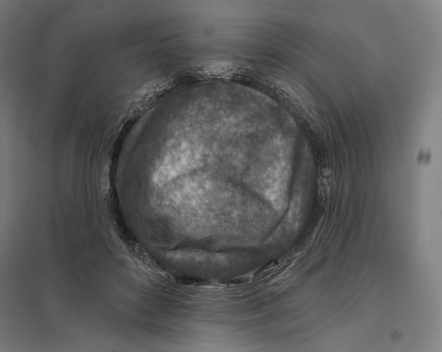 X0000097750504200803281613