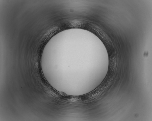 X0000097750505200803281613