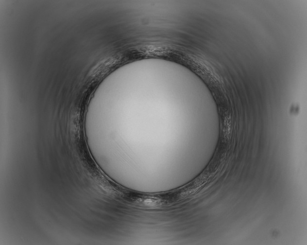 X0000097750506200803281613