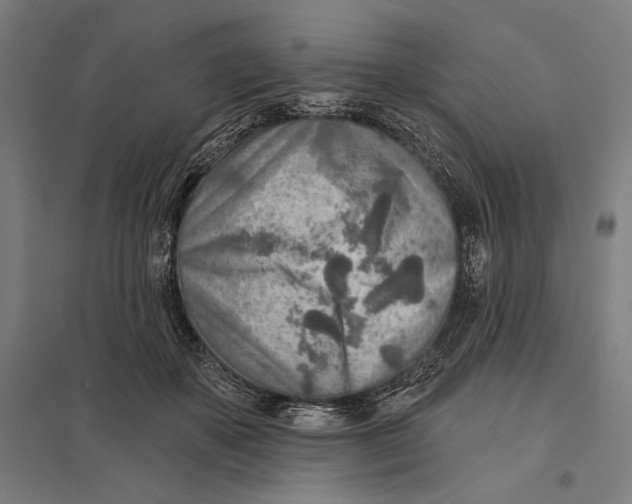 X0000097750507200803281613