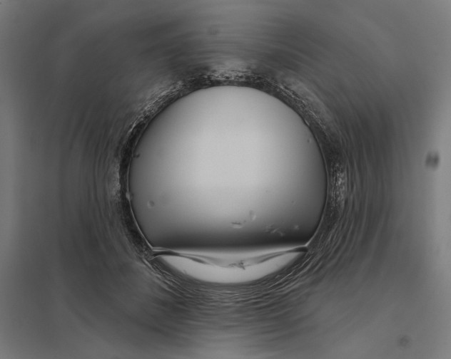 X0000097750508200803281613