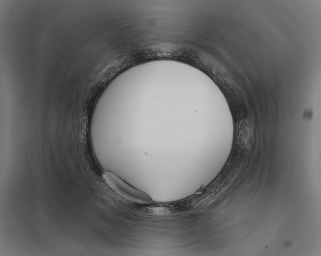 X0000097750509200803281613