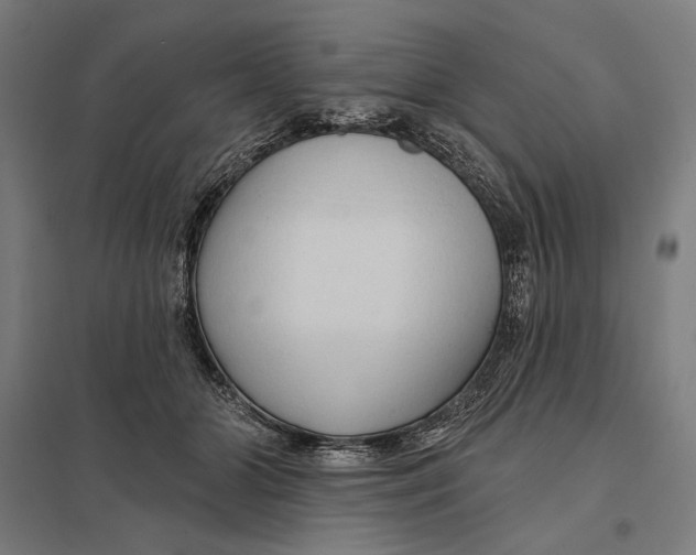 X0000097750510200803281613