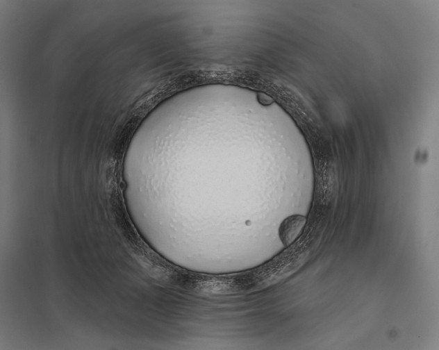 X0000097750511200803281613