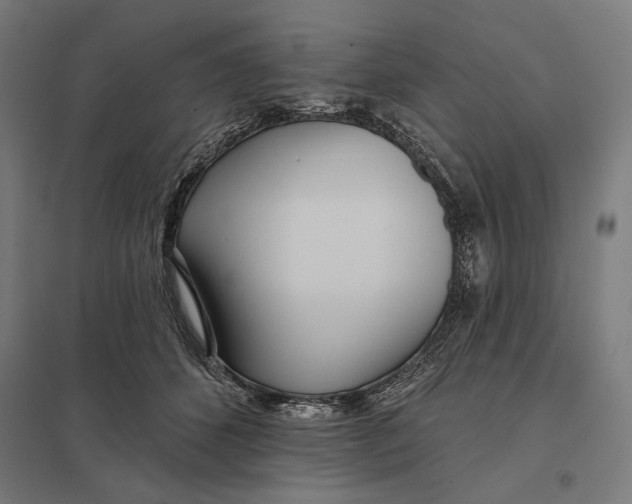 X0000097750512200803281613