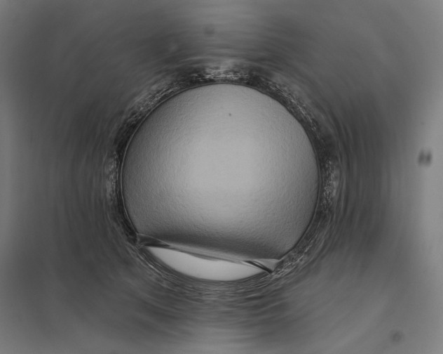 X0000097750513200803281613