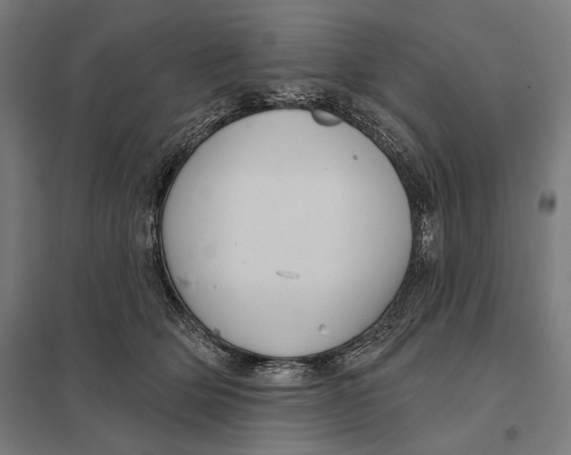 X0000097750514200803281613