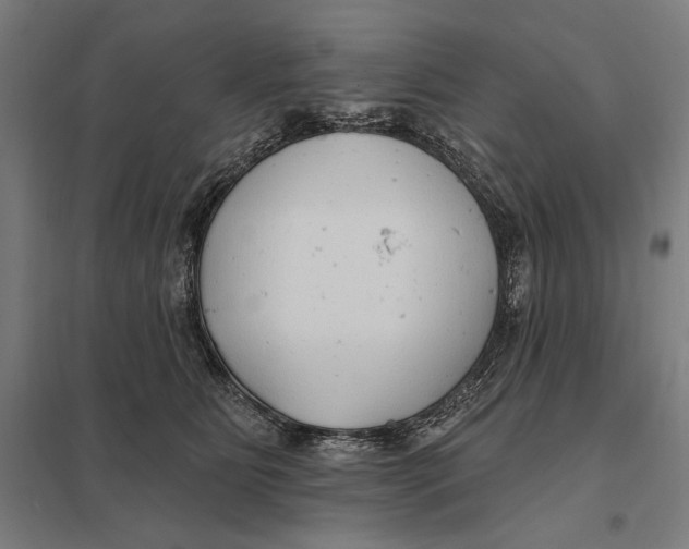 X0000097750515200803281613