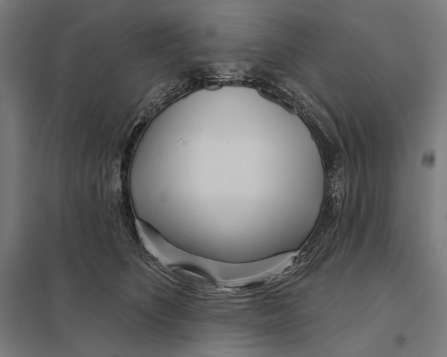 X0000097750516200803281613