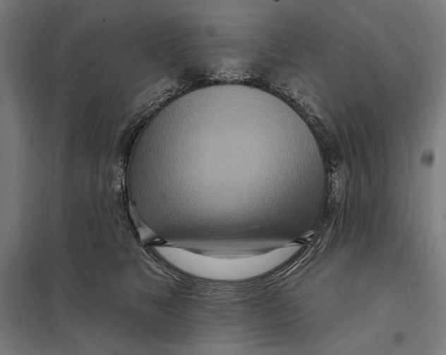 X0000097750517200803281613