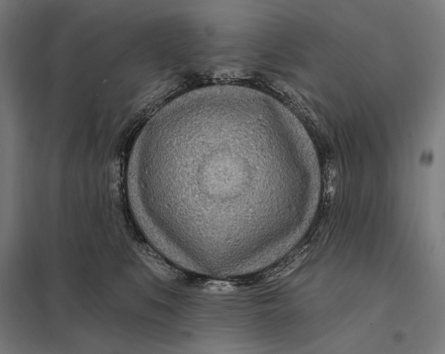 X0000097750519200803281613