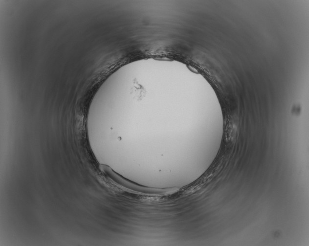 X0000097750521200803281613