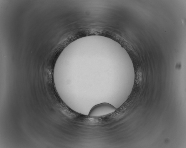 X0000097750522200803281613