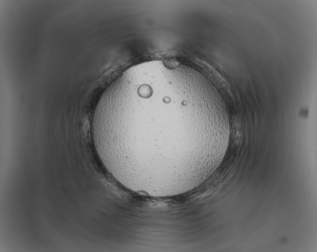 X0000097750523200803281613