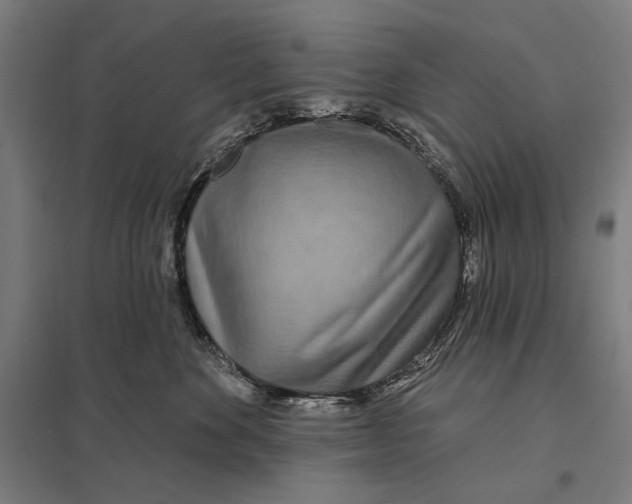 X0000097750524200803281613