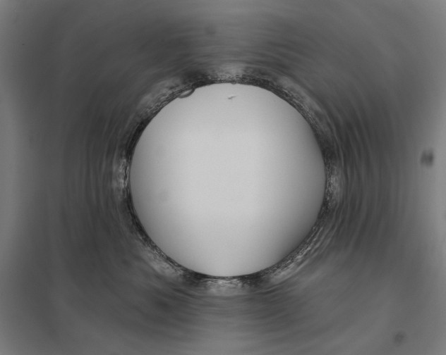 X0000097750525200803281613