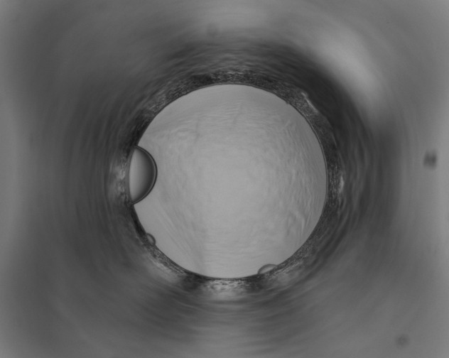 X0000097750526200803281613