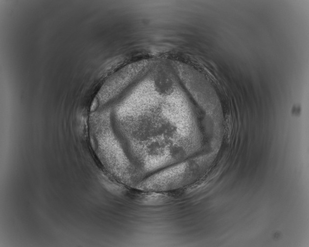 X0000097750527200803281613