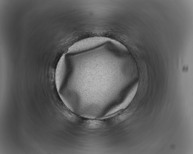 X0000097750528200803281613