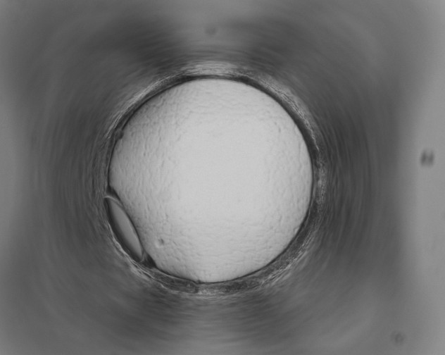 X0000097750529200803281612