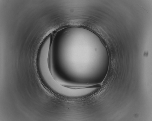 X0000097750530200803281612