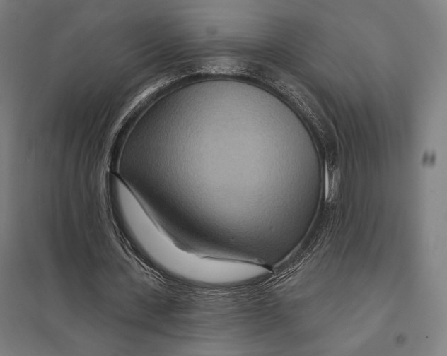 X0000097750531200803281612