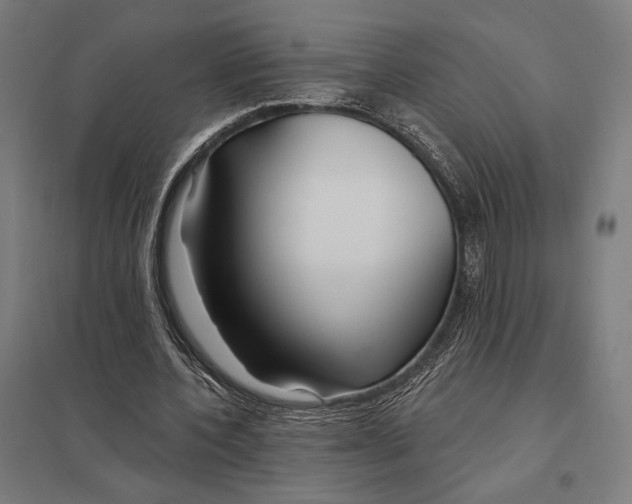 X0000097750532200803281612