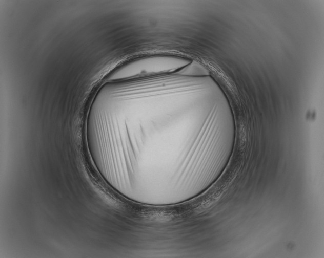 X0000097750533200803281612