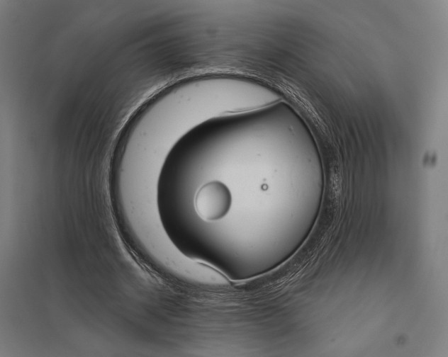 X0000097750534200803281612