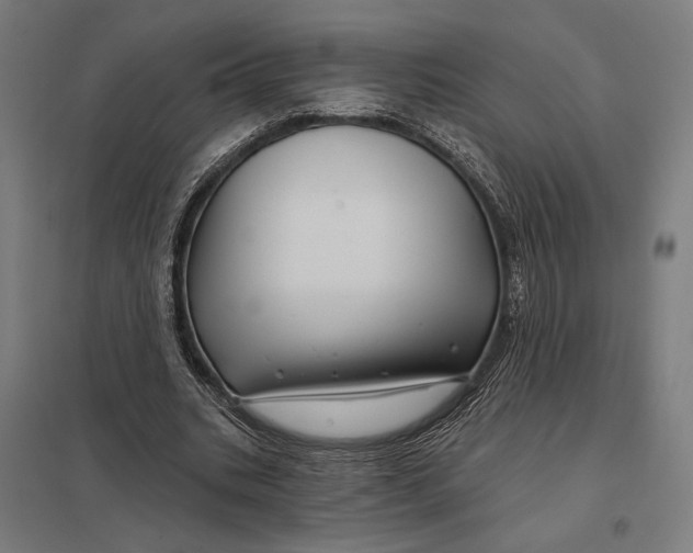 X0000097750535200803281612