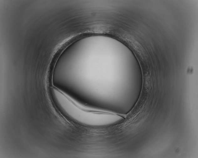 X0000097750536200803281612