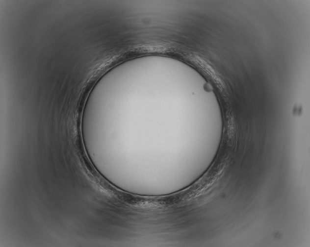 X0000097750537200803281612