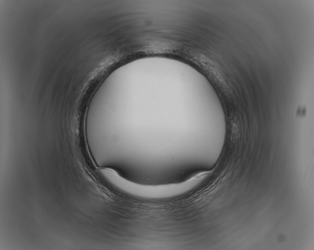 X0000097750539200803281612