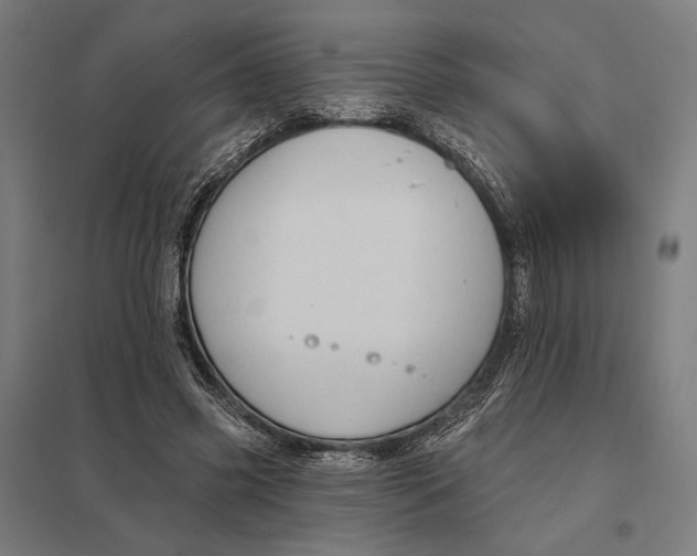 X0000097750541200803281613