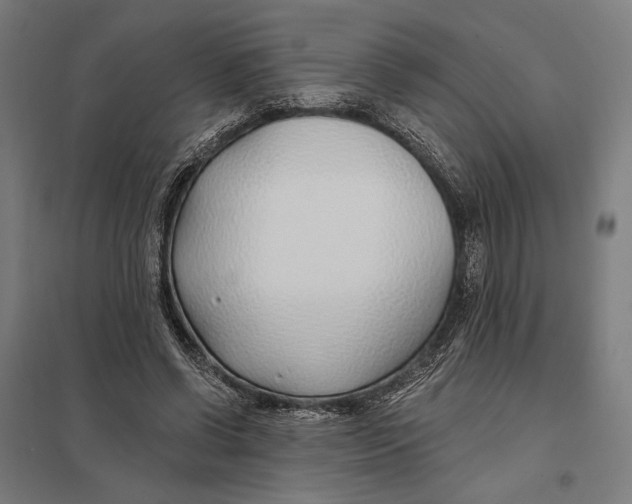 X0000097750542200803281613