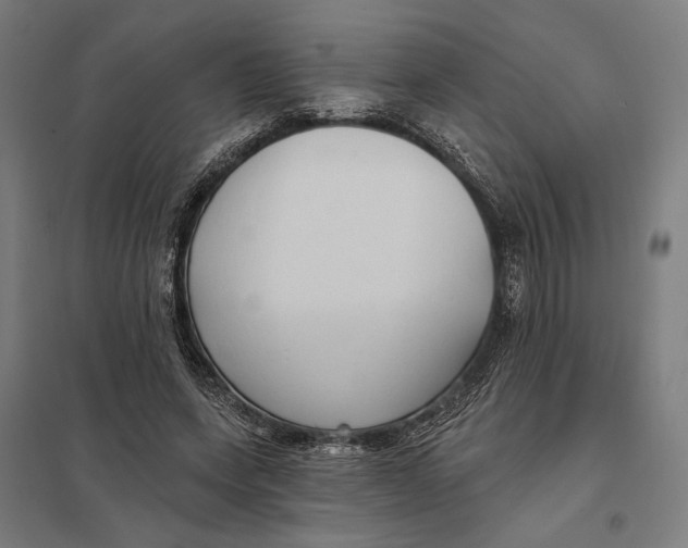 X0000097750543200803281613