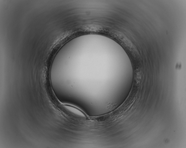 X0000097750544200803281613