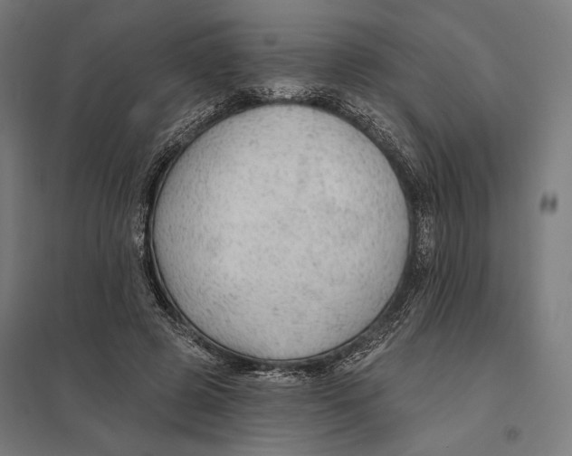 X0000097750545200803281613