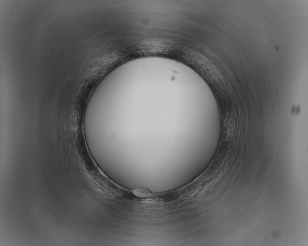 X0000097750546200803281613