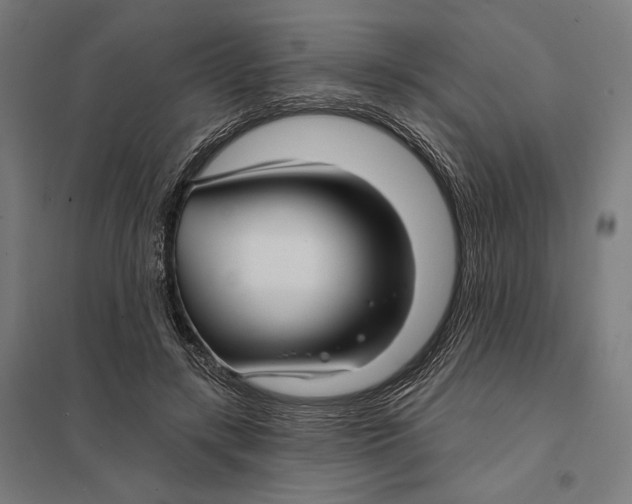 X0000097750547200803281613