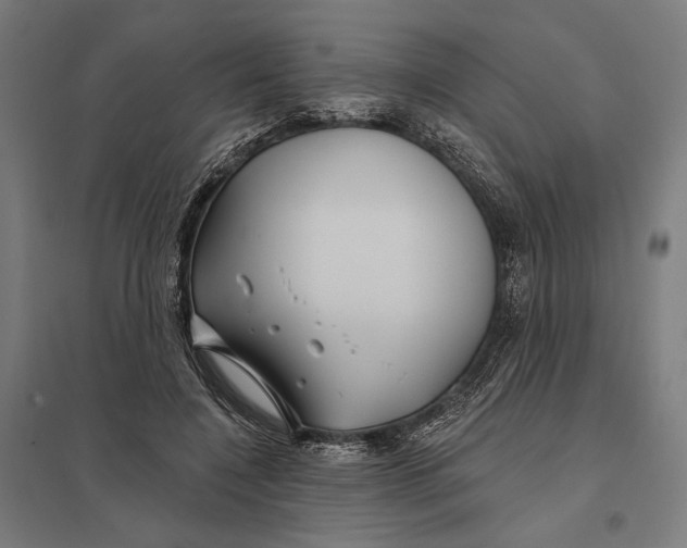 X0000097750548200803281613