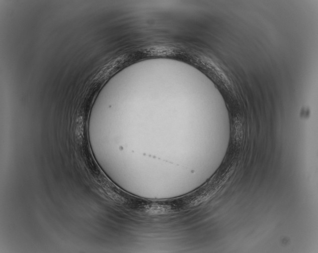 X0000097750549200803281613