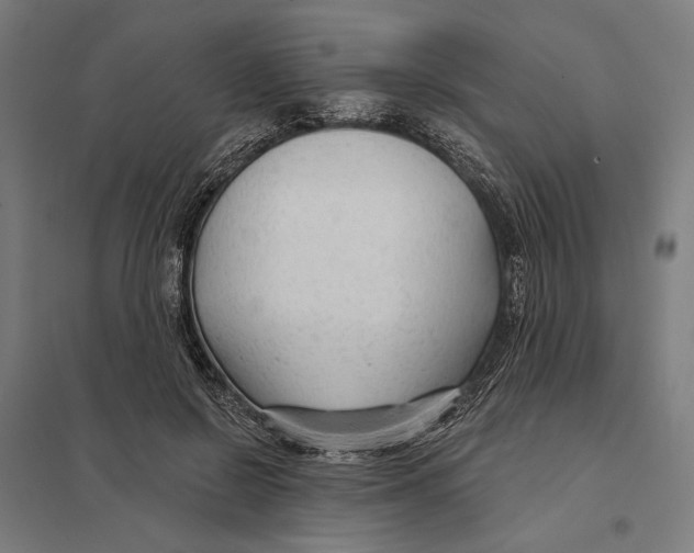 X0000097750550200803281613