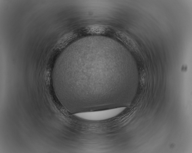 X0000097750551200803281613