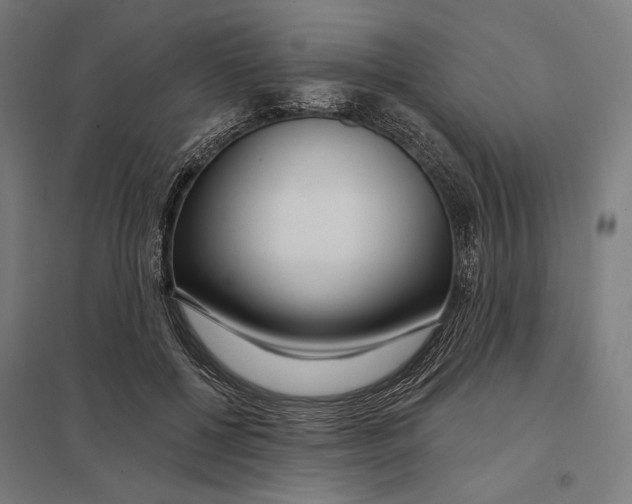 X0000097750552200803281613