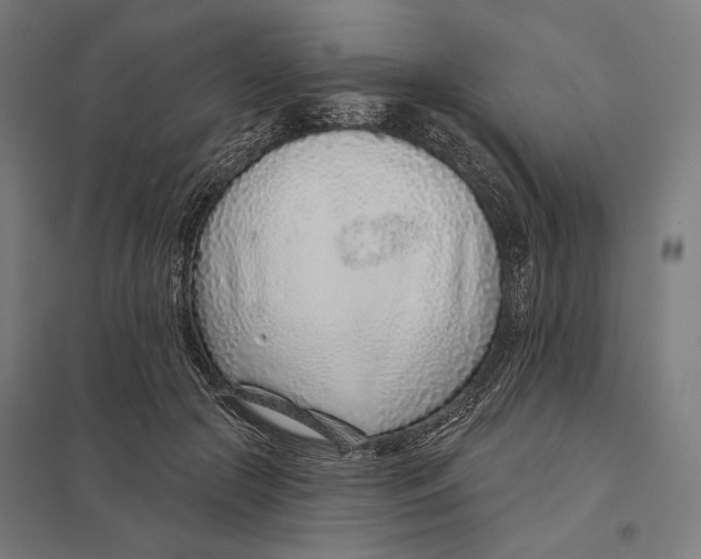 X0000097750553200803281613